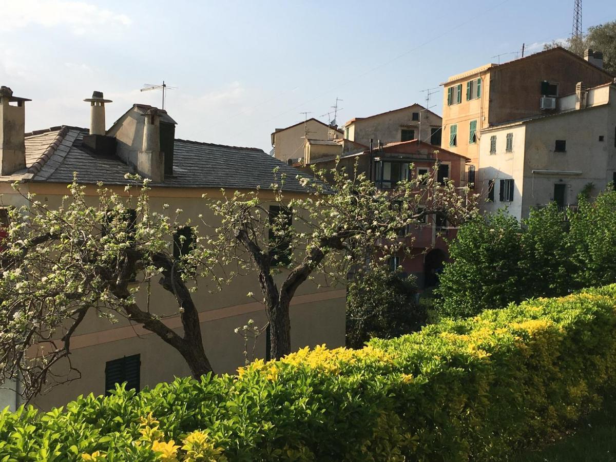 Villa Cielomare Camogli Exterior photo